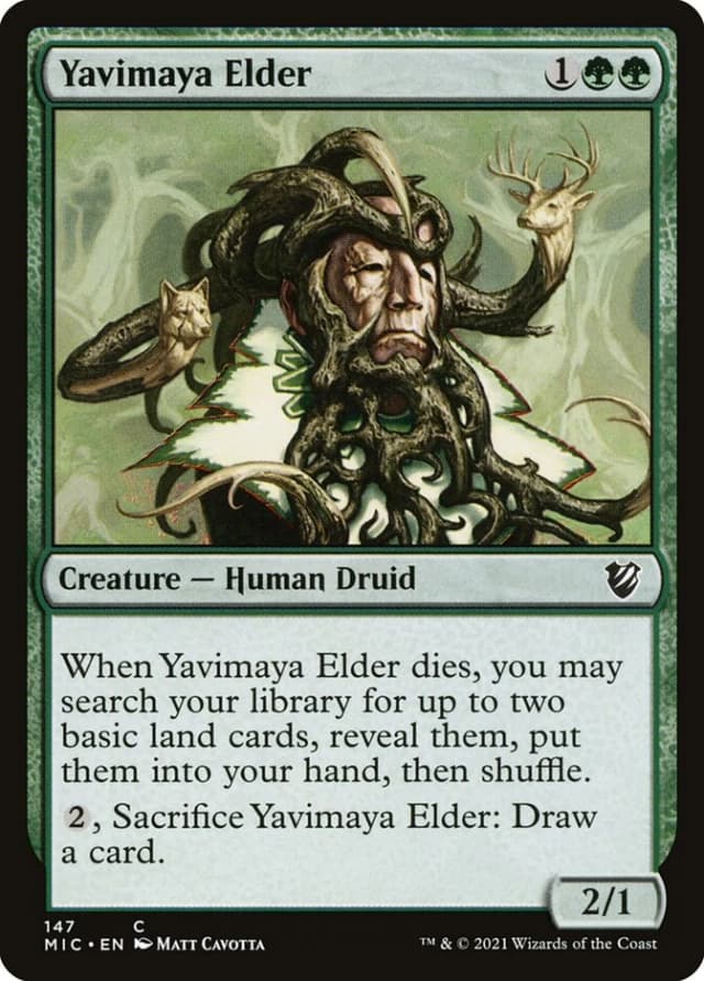 Yavimaya Elder image