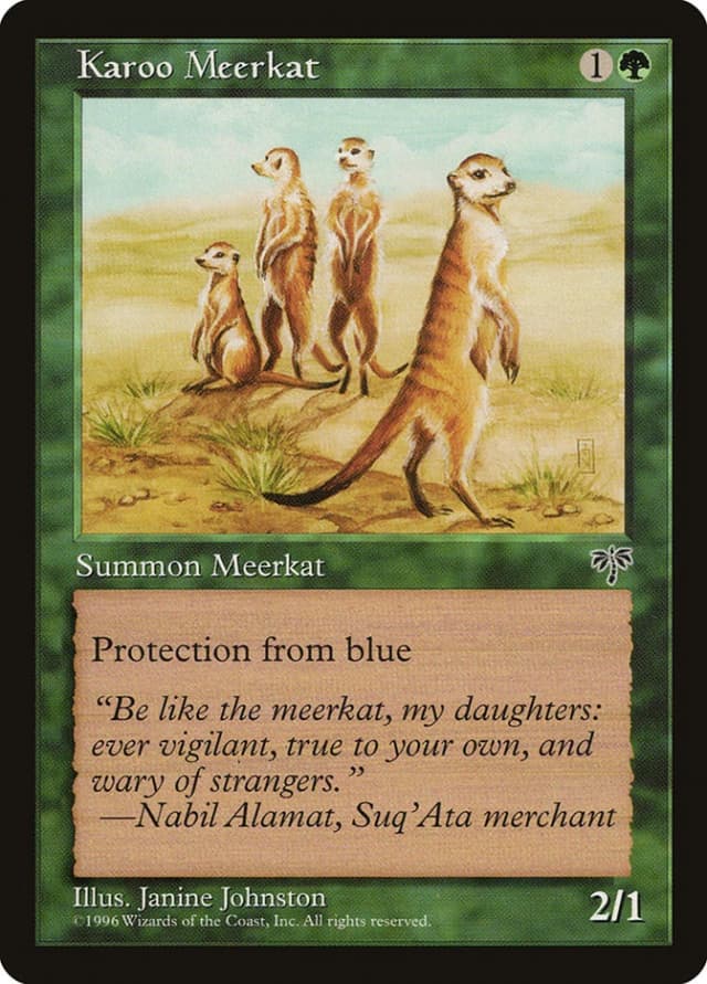 Karoo Meerkat image
