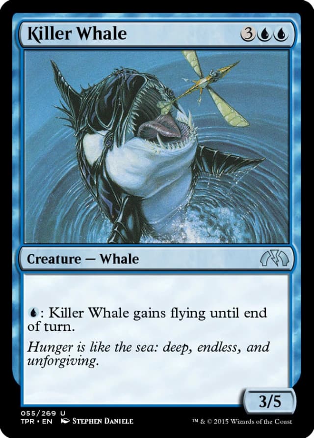 Killer Whale image