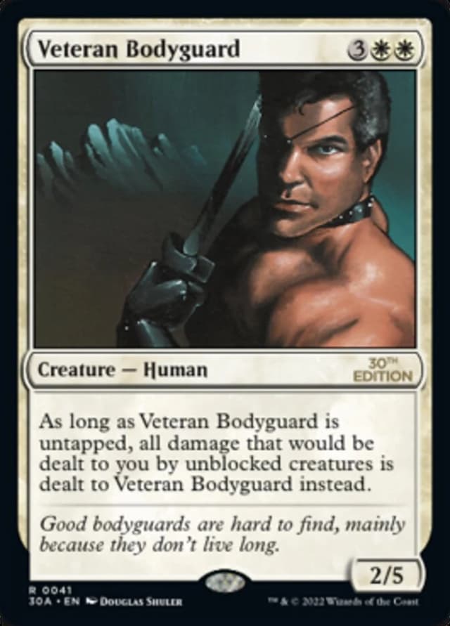 Veteran Bodyguard image