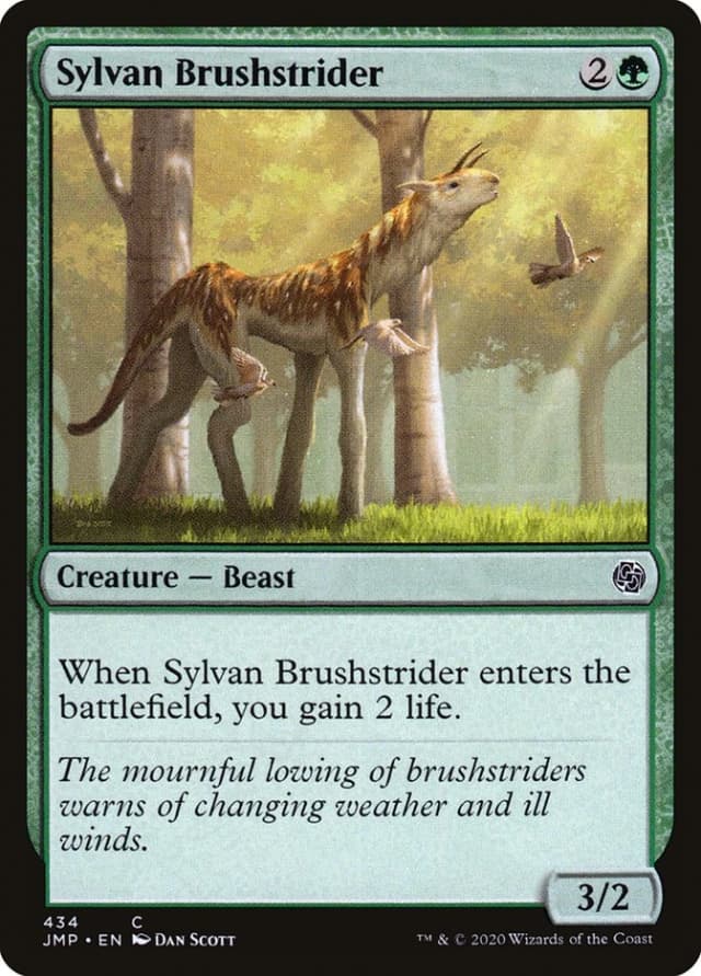 Sylvan Brushstrider image