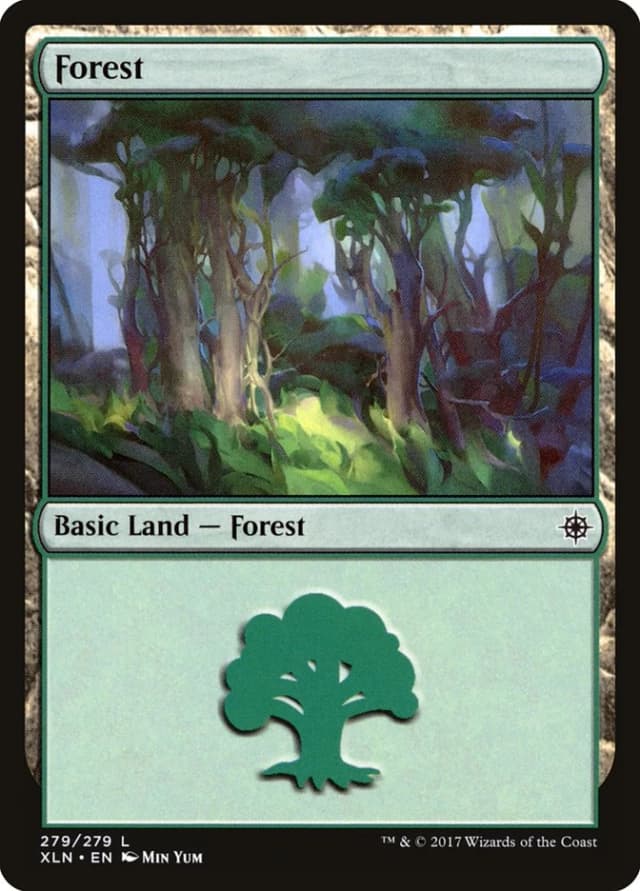 Forest image