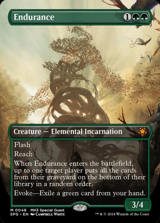 Endurance image