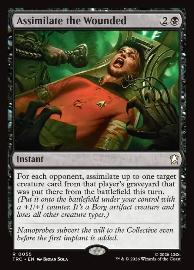 Assimilate the Wounded image