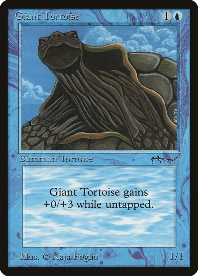 Giant Tortoise image