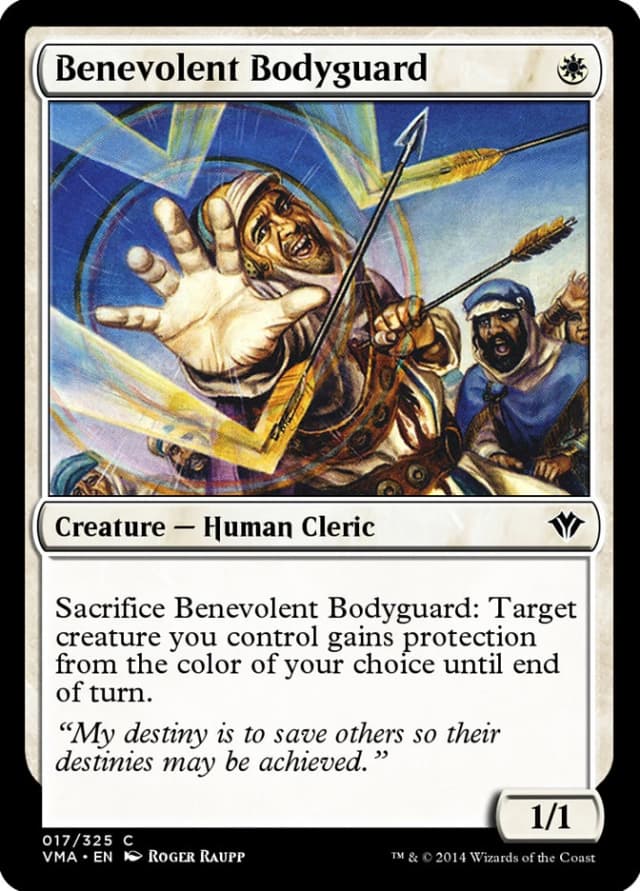 Benevolent Bodyguard image