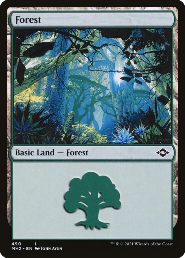 Forest image