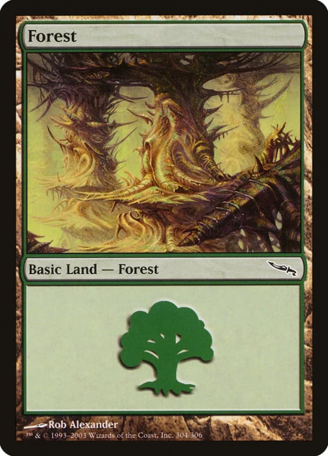 Forest image