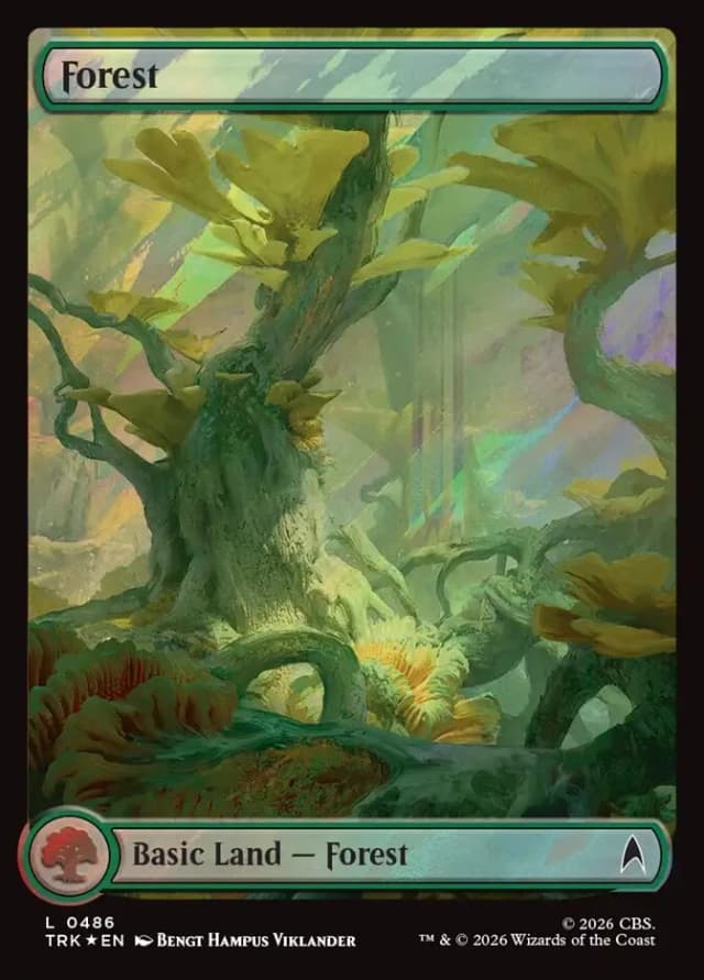 Forest image