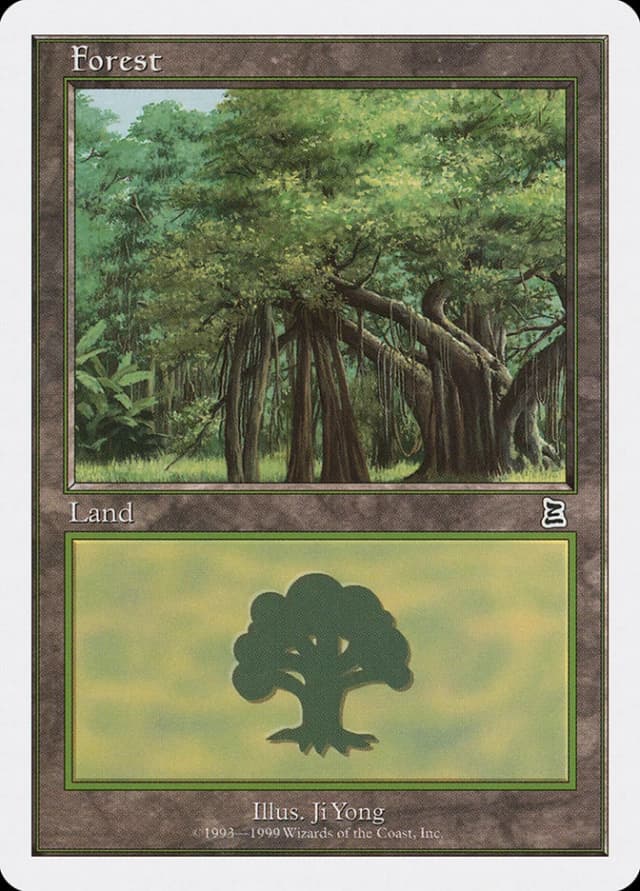 Forest image