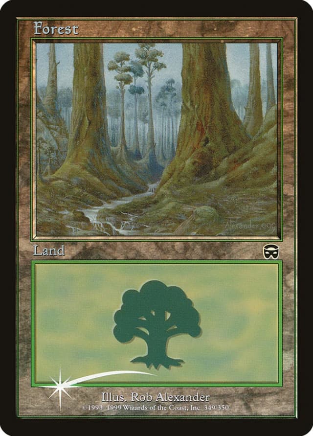 Forest image