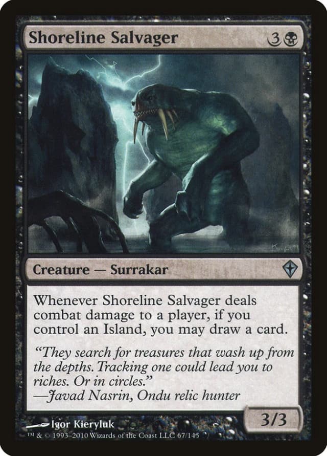 Shoreline Salvager image