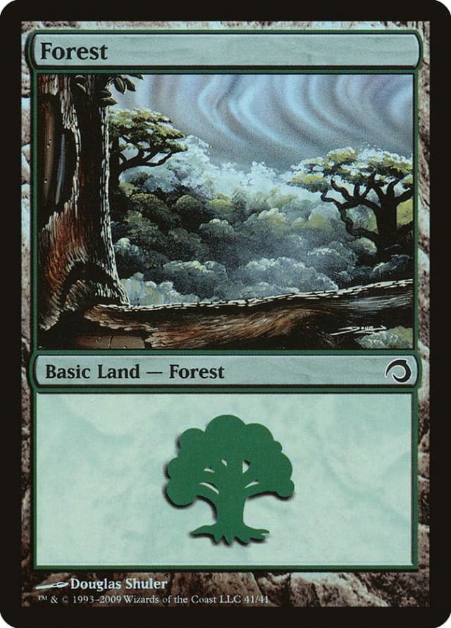 Forest image