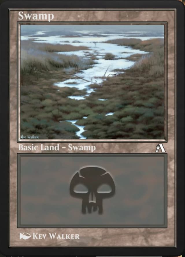 Swamp image