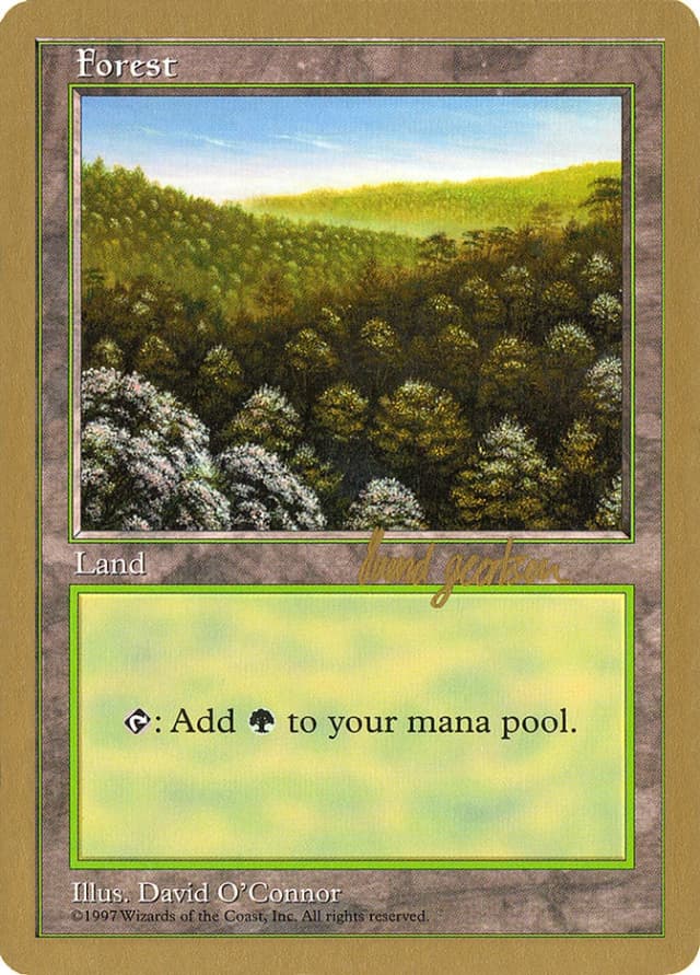 Forest image