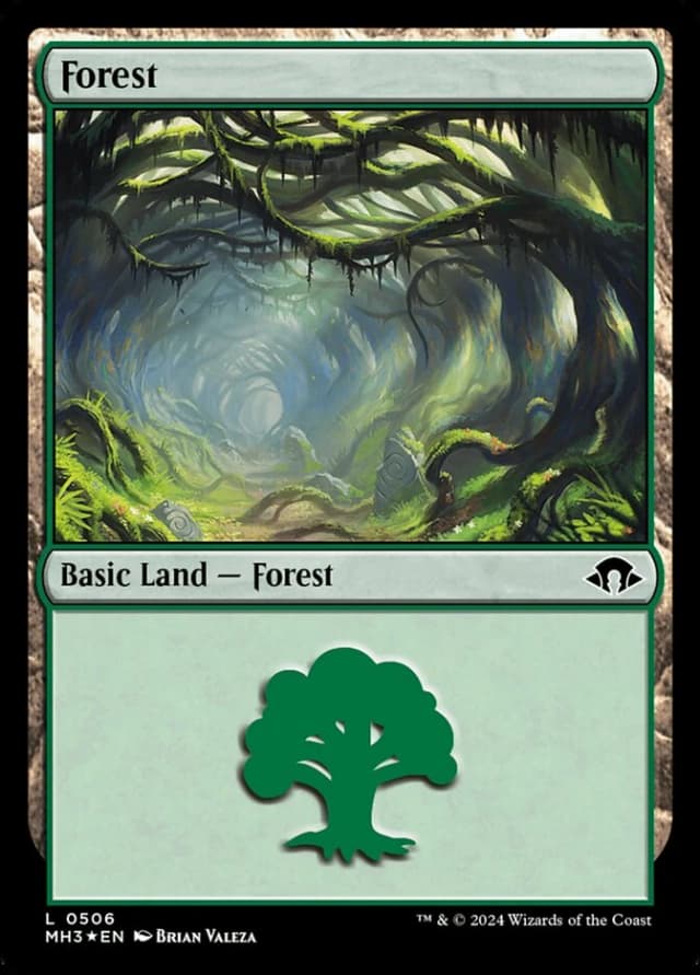Forest image