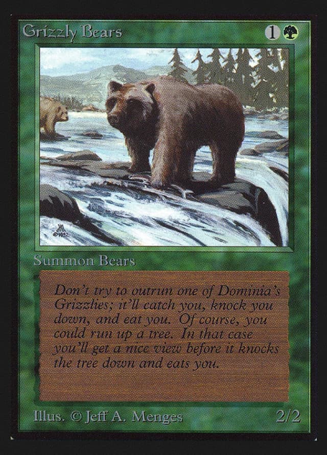 Grizzly Bears image