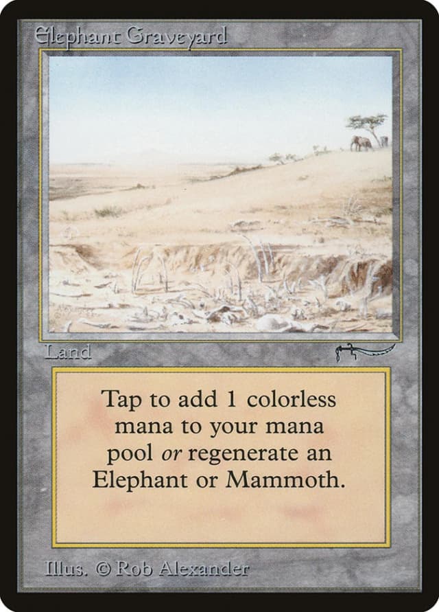 Elephant Graveyard image