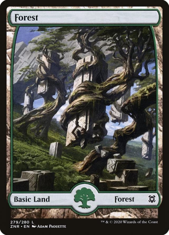 Forest image
