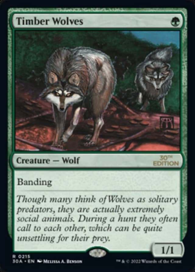Timber Wolves image