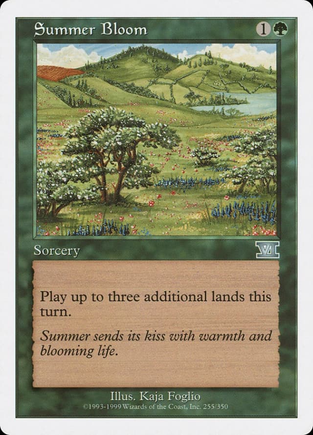 Summer Bloom image