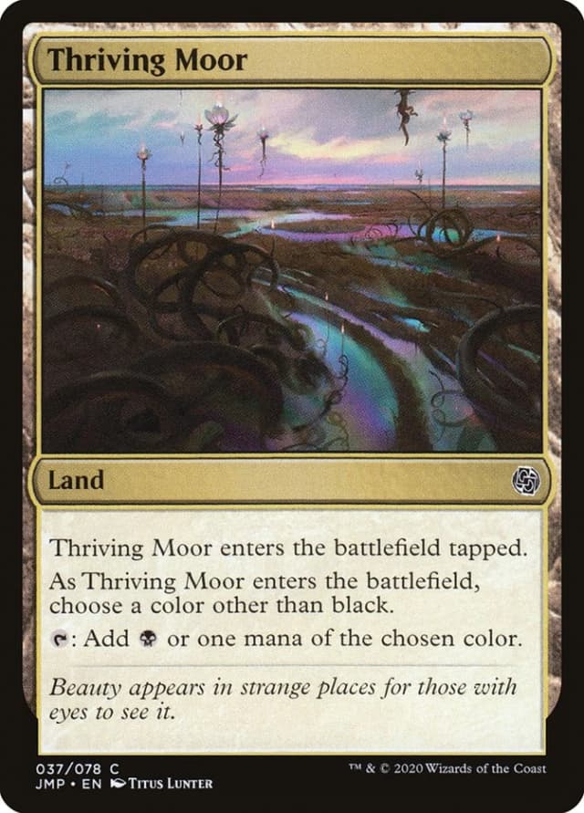 Thriving Moor image