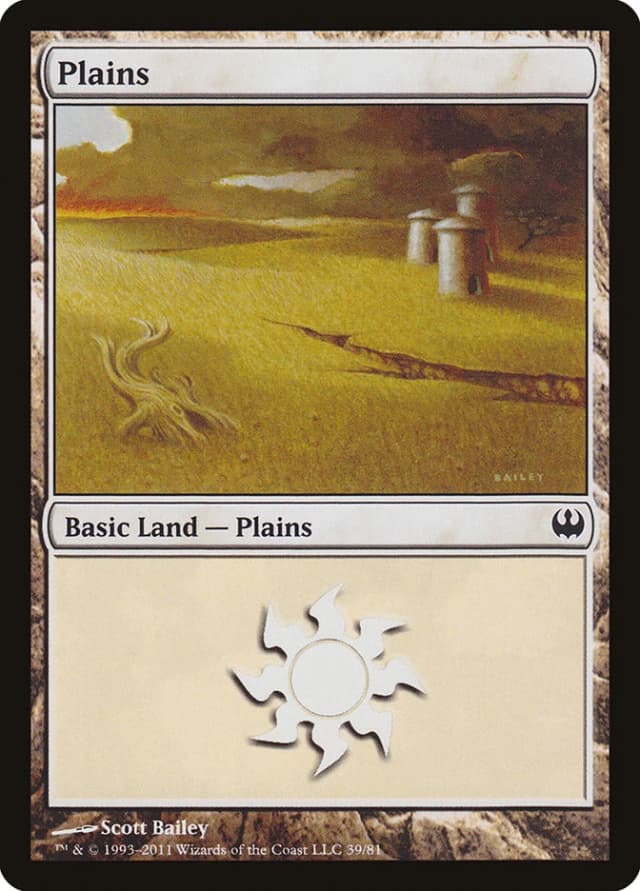 Plains image