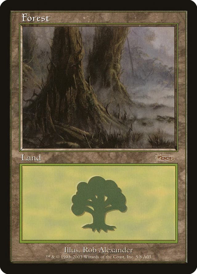 Forest image