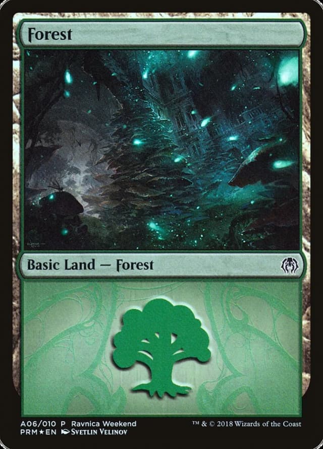 Forest image