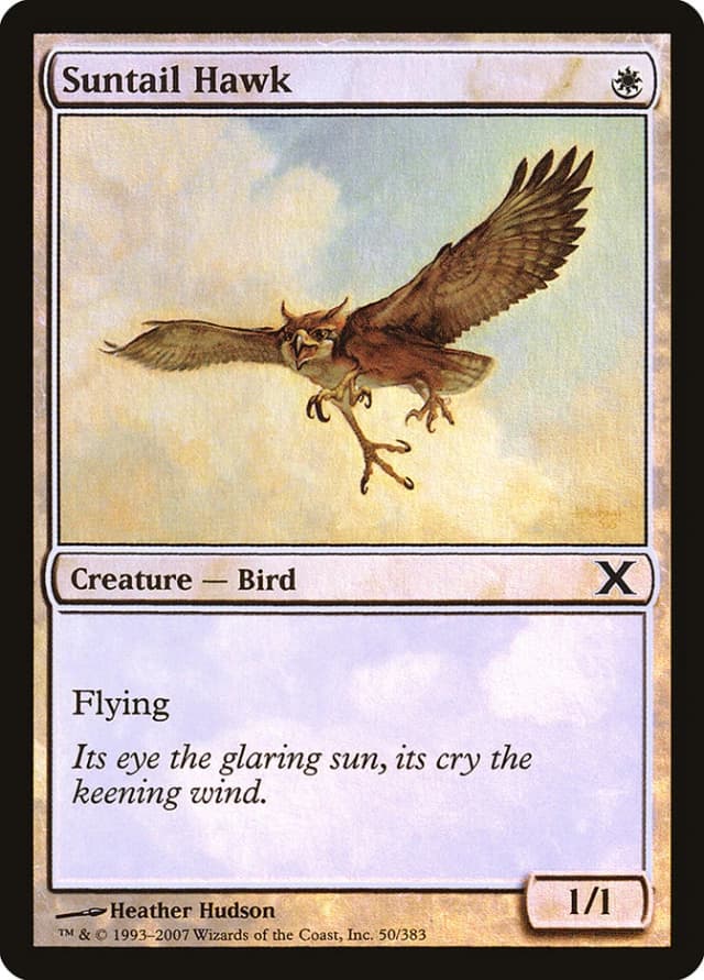Suntail Hawk image