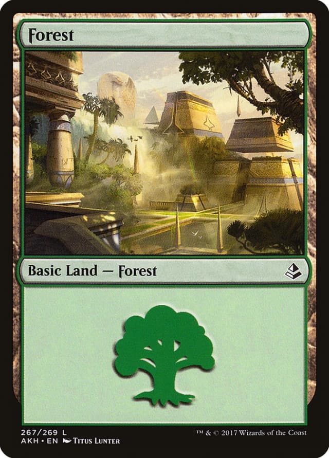 Forest image