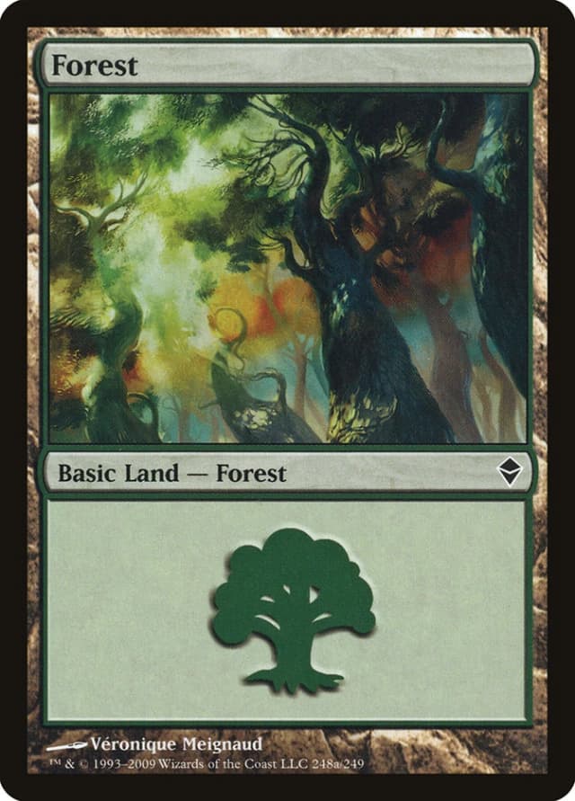 Forest image