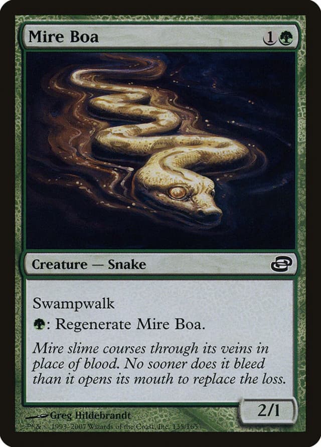Mire Boa image