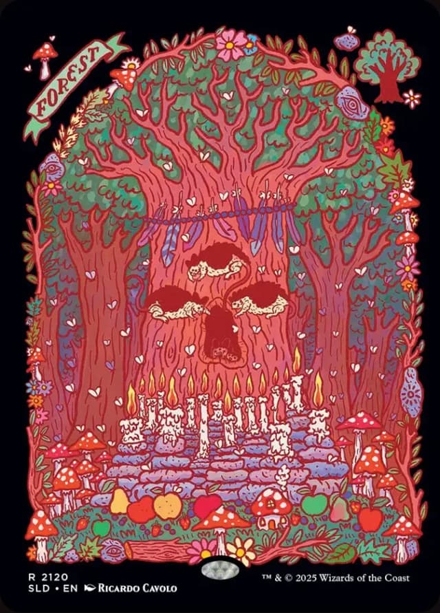 Forest image
