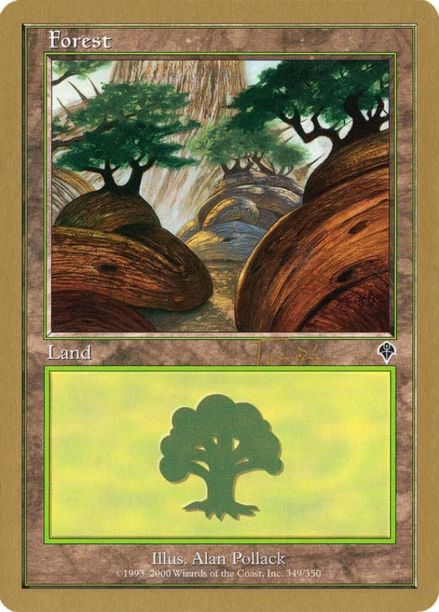 Forest image