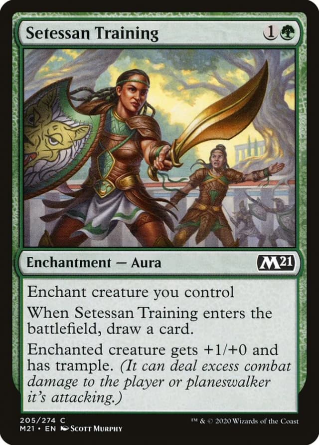 Setessan Training image