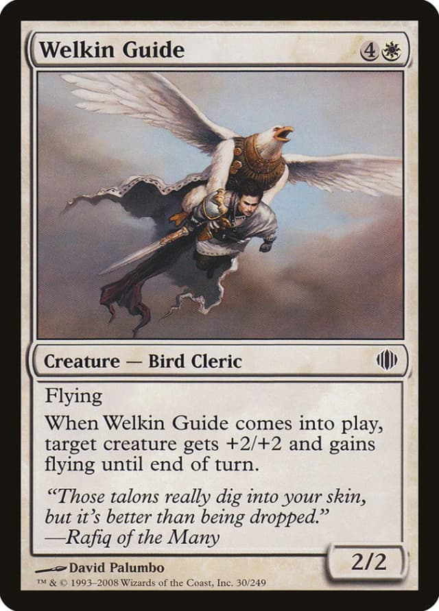Welkin Guide image