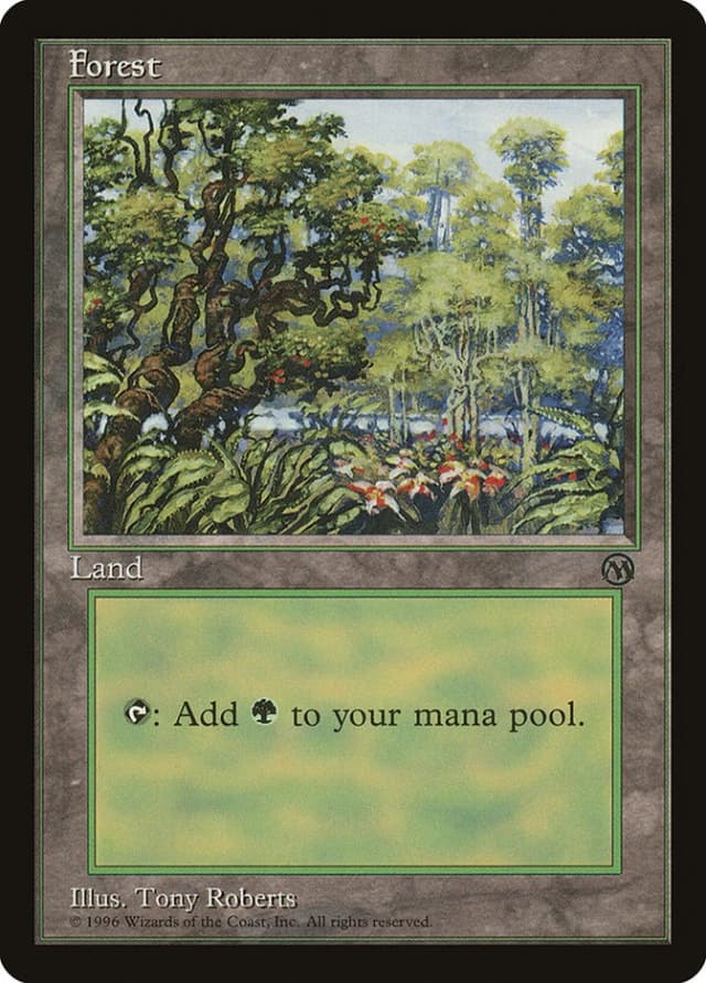 Forest image