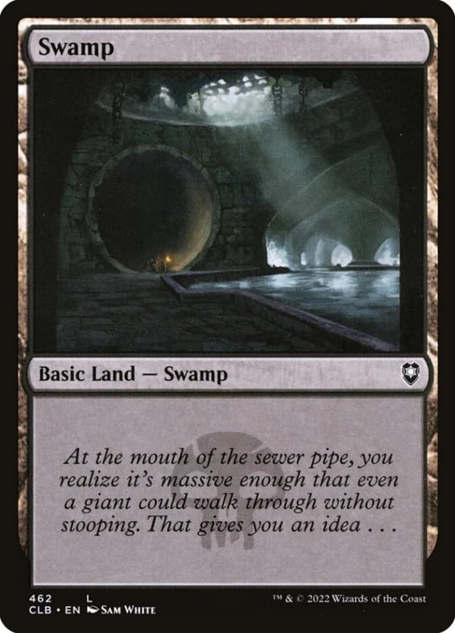 Swamp image