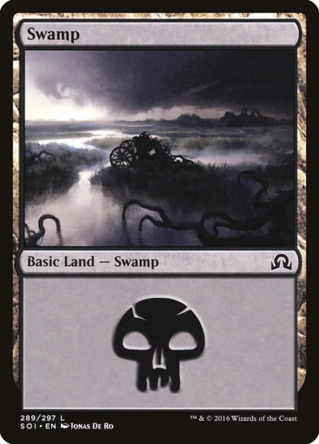 Swamp image