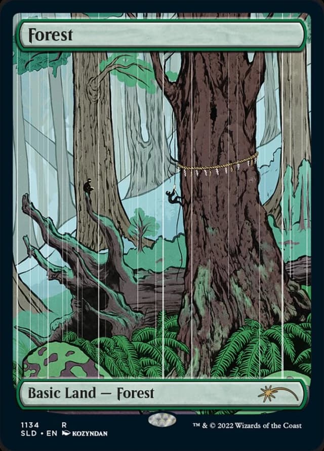 Forest image