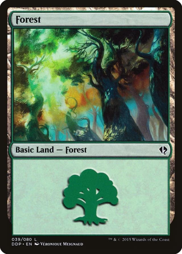 Forest image