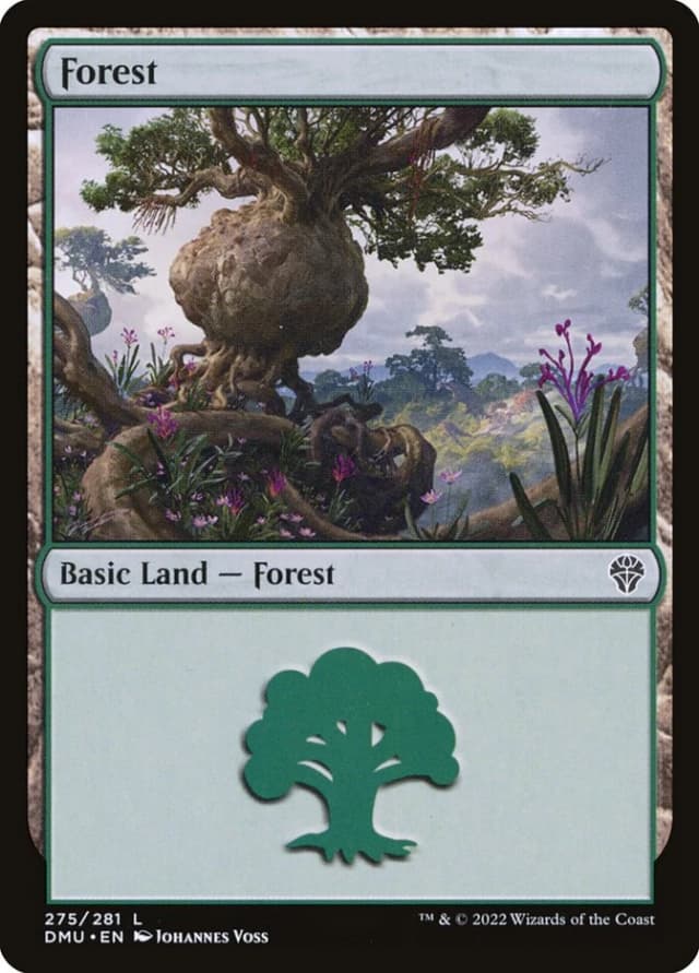 Forest image