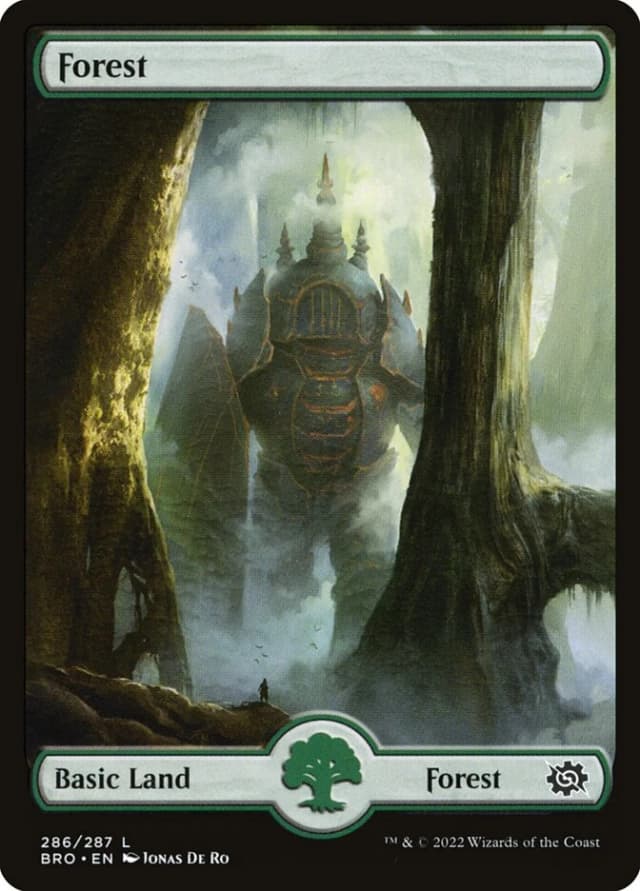 Forest image