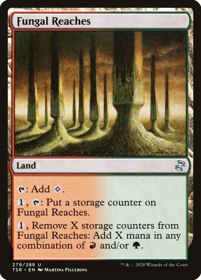 Fungal Reaches image