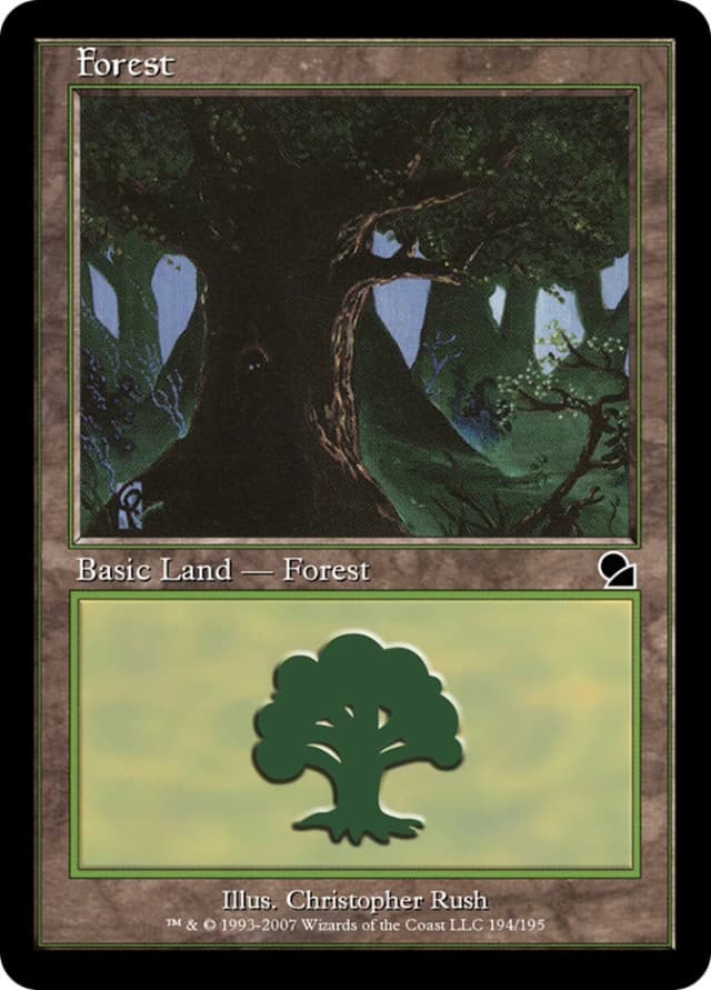 Forest image