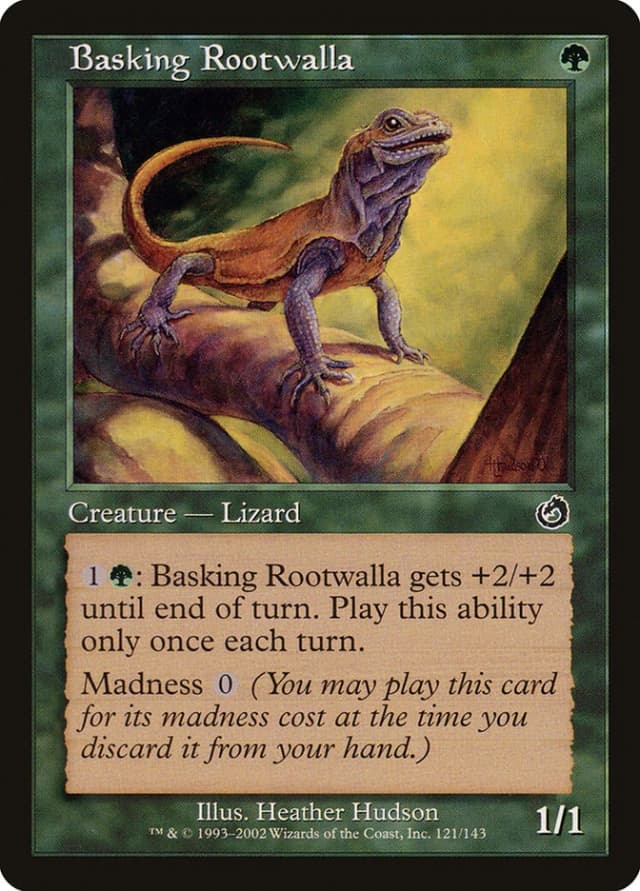Basking Rootwalla image