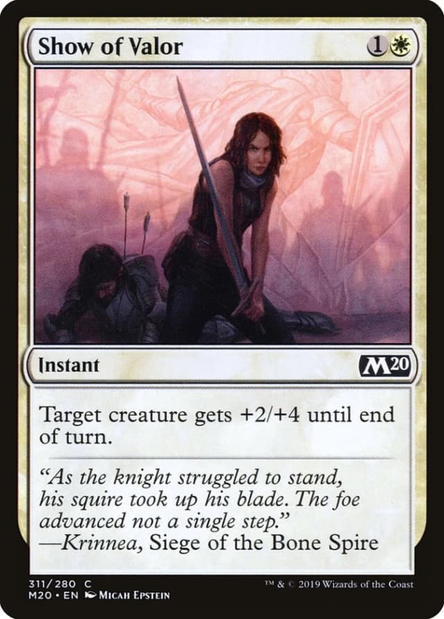 Show of Valor image