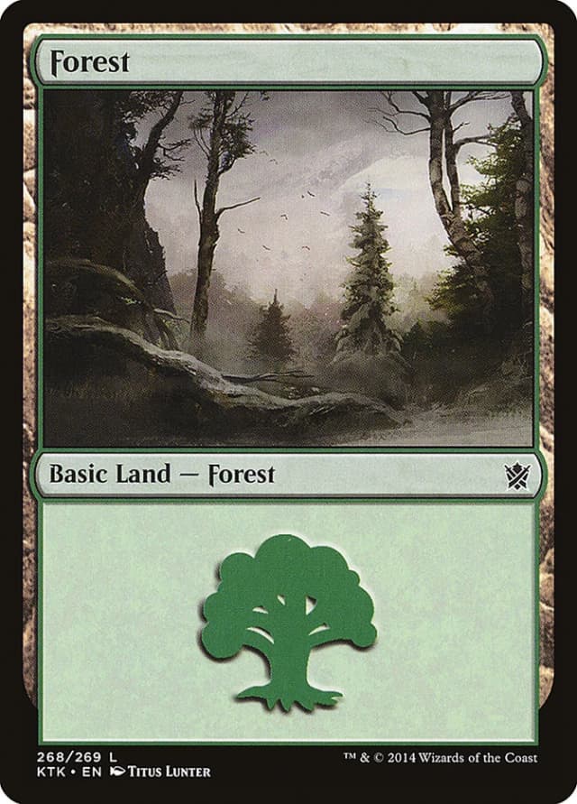 Forest image