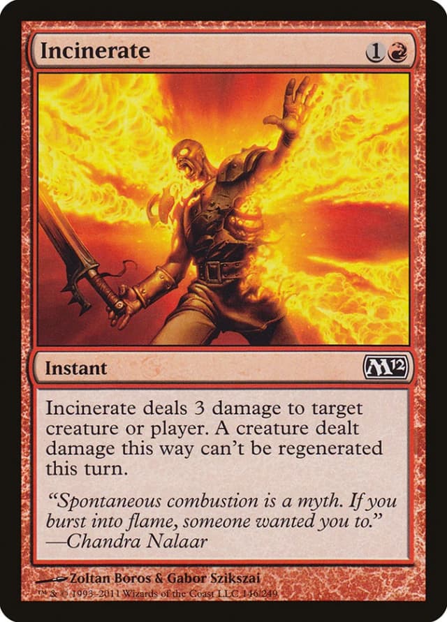 Incinerate image